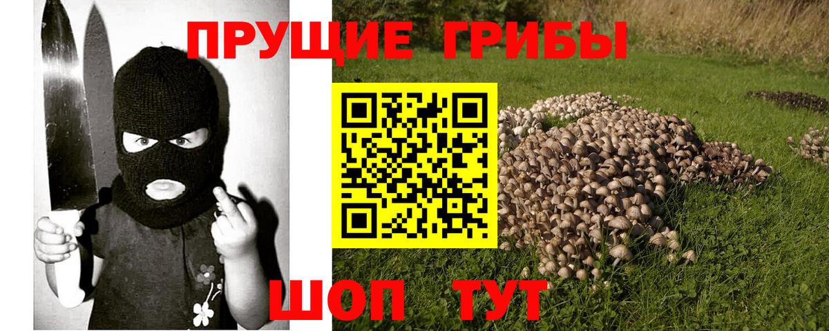 Галлюциногенные грибы Magic Shrooms  Вход с VPN  закладка  Псилоцибиновые грибы GOLDEN TEACHER  Ликино-Дулёво 